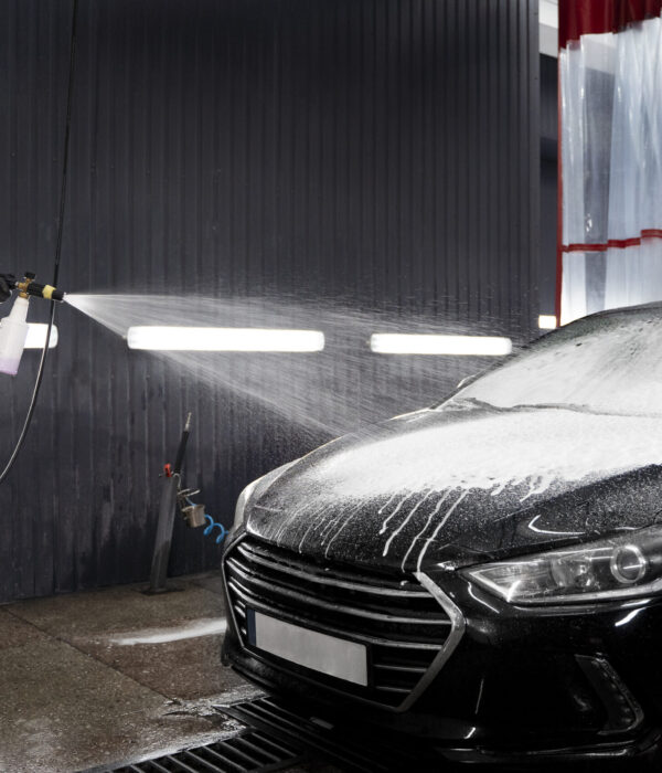 beautiful-car-washing-service